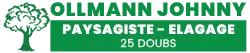 OLLMANN JOHNNY logo