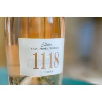 CHATEAU SAINT-PIERRE DE MEJANS logo