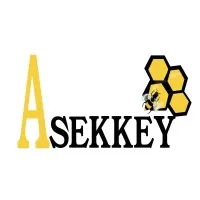 ASEKKEY logo