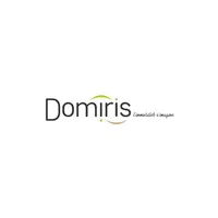 DOMIRIS logo