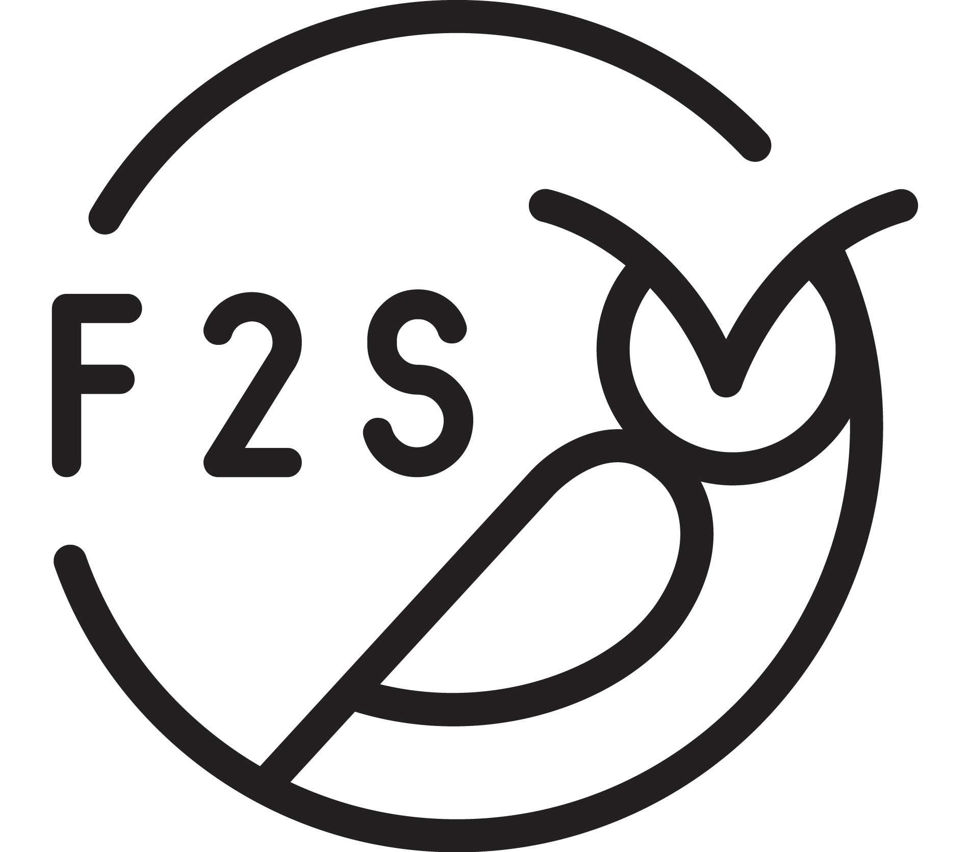 F2S logo