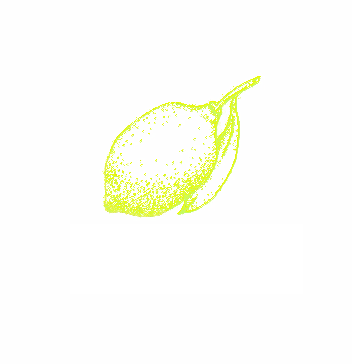 BOSCO AND CO logo