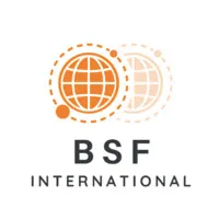 BSF INTERNATIONAL SAS logo
