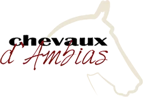 VAL D'AMBIAS logo