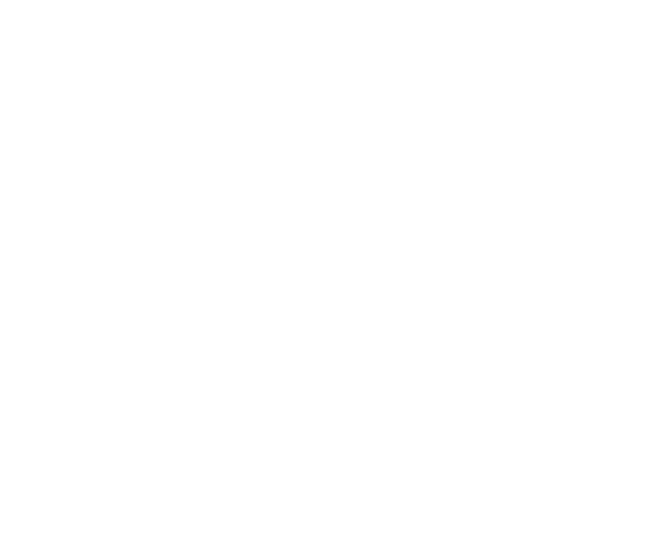 L'HORIZEN SAS logo
