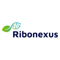 Voici le logo de la marque RIBONEXUS qui représente son identité graphique.