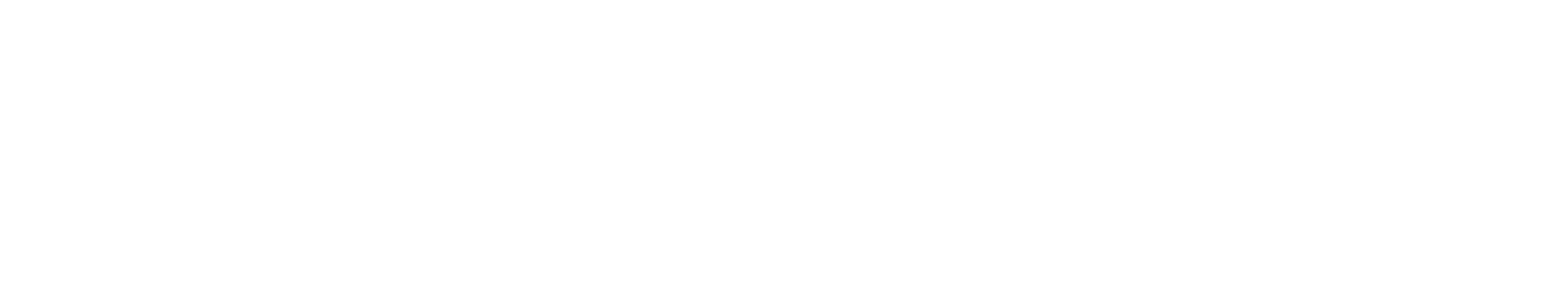 EST PARE BRISE + logo