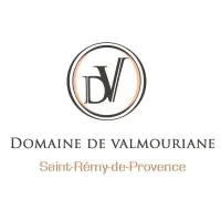 DOMAINE DE VALMOURIANE logo
