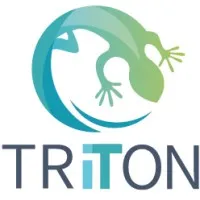TRITON IT logo