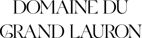 DGL EVENTS logo