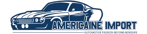 AMERICAINE IMPORT logo