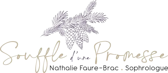 FAURE-BRAC NATHALIE logo