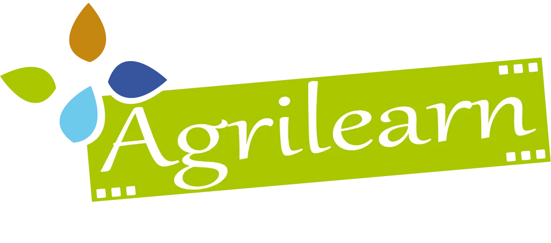 BERIZZI INVEST logo