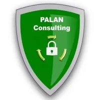 PALAN CONSULTING logo