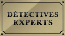 DETECTIVES-EXPERTS logo