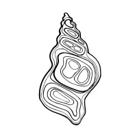 BULOT STUDIO logo