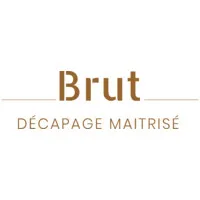 BRUT logo