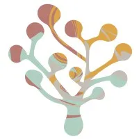 NOESUN logo