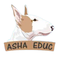 ASHA EDUC (SARL) logo