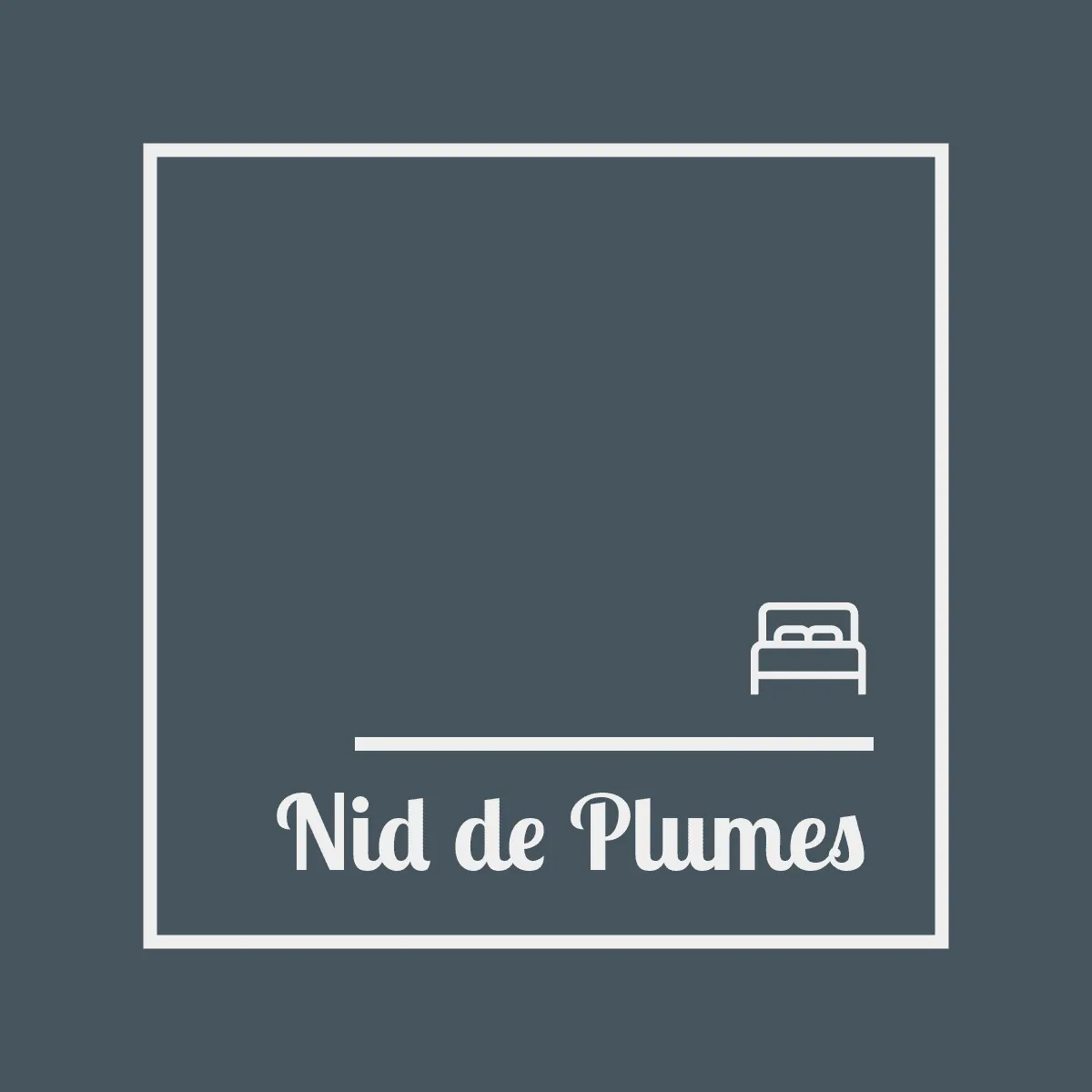 NID DE PLUMES logo