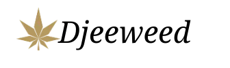 GREEN DIFFUSION INTERNATIONAL logo
