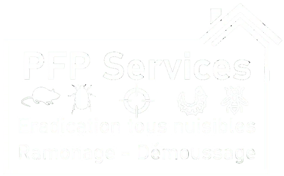 PFP SERVICES logo