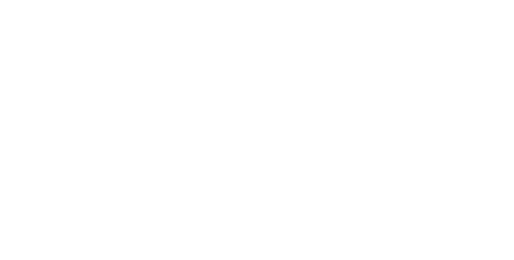 ALEN logo