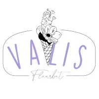 MAISON VALIS logo
