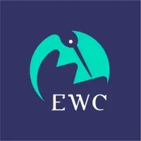 ELSASS WEB CONCEPT logo