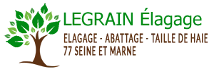 LEGRAIN NAIM logo