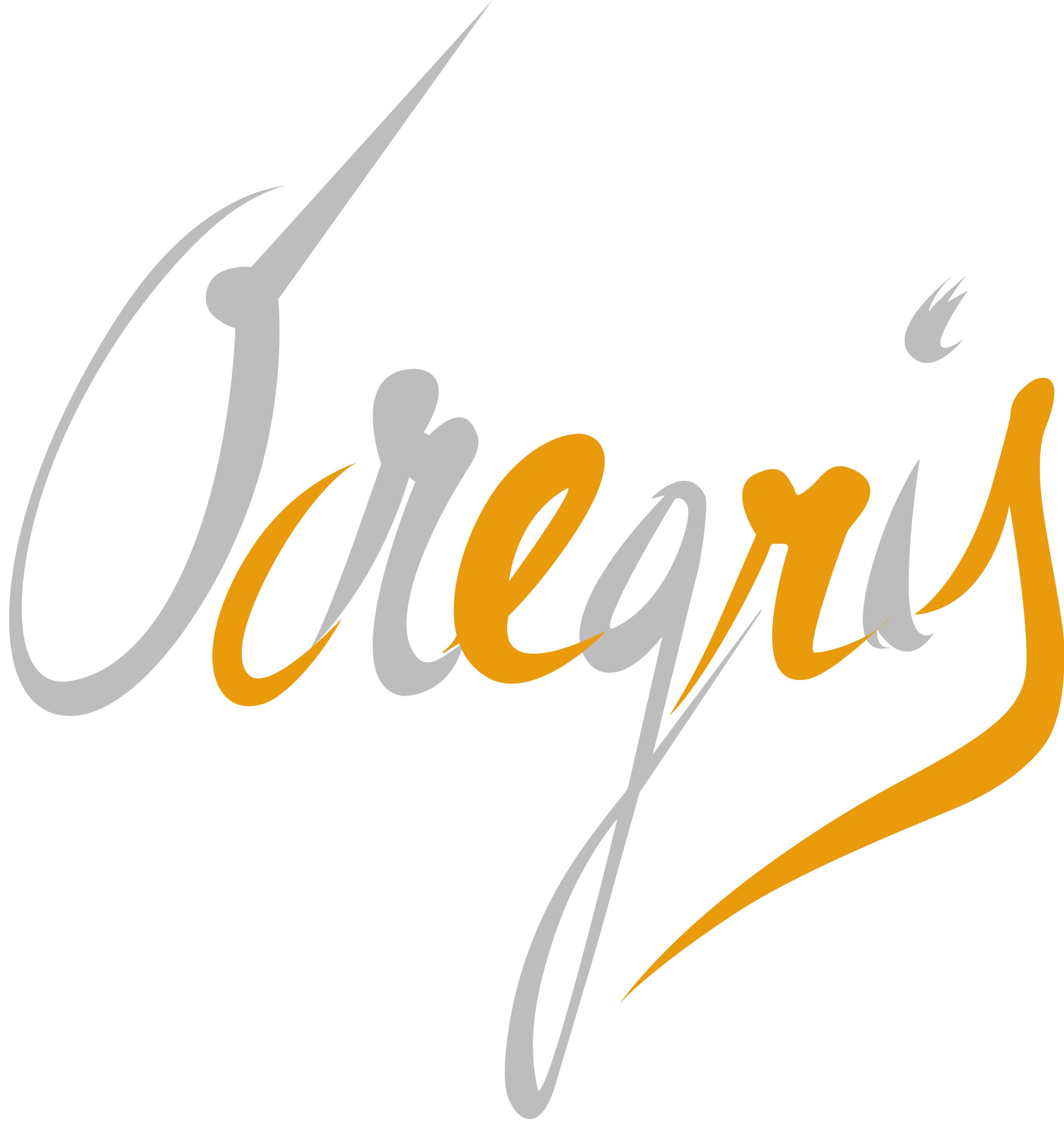 SAS OCREGRIS logo
