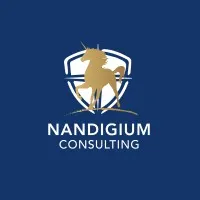 NANDIGIUM CONSULTING logo