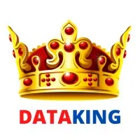 DATA KING logo