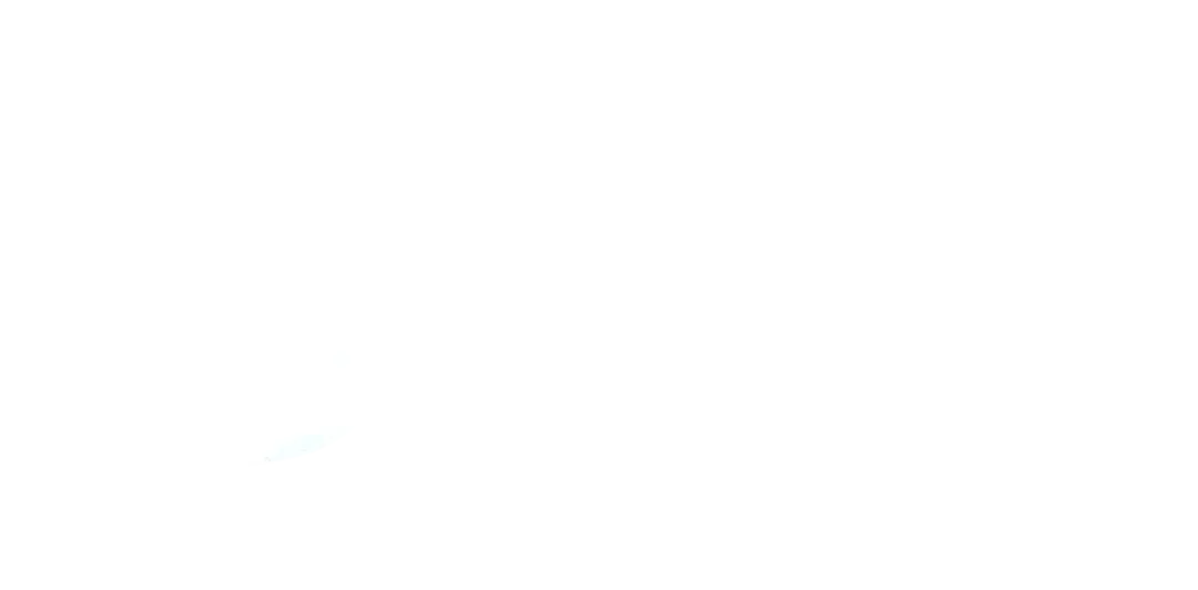 LE LOUEUR 971 logo