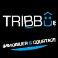 TRIBBU logo
