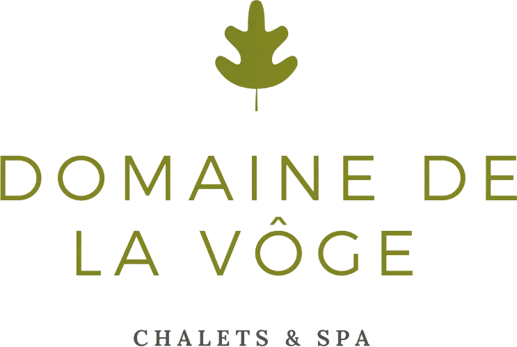 DOMAINE DE LA VOGE logo