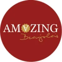 B AMAZING logo