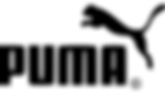 PREMIER TALENTS logo
