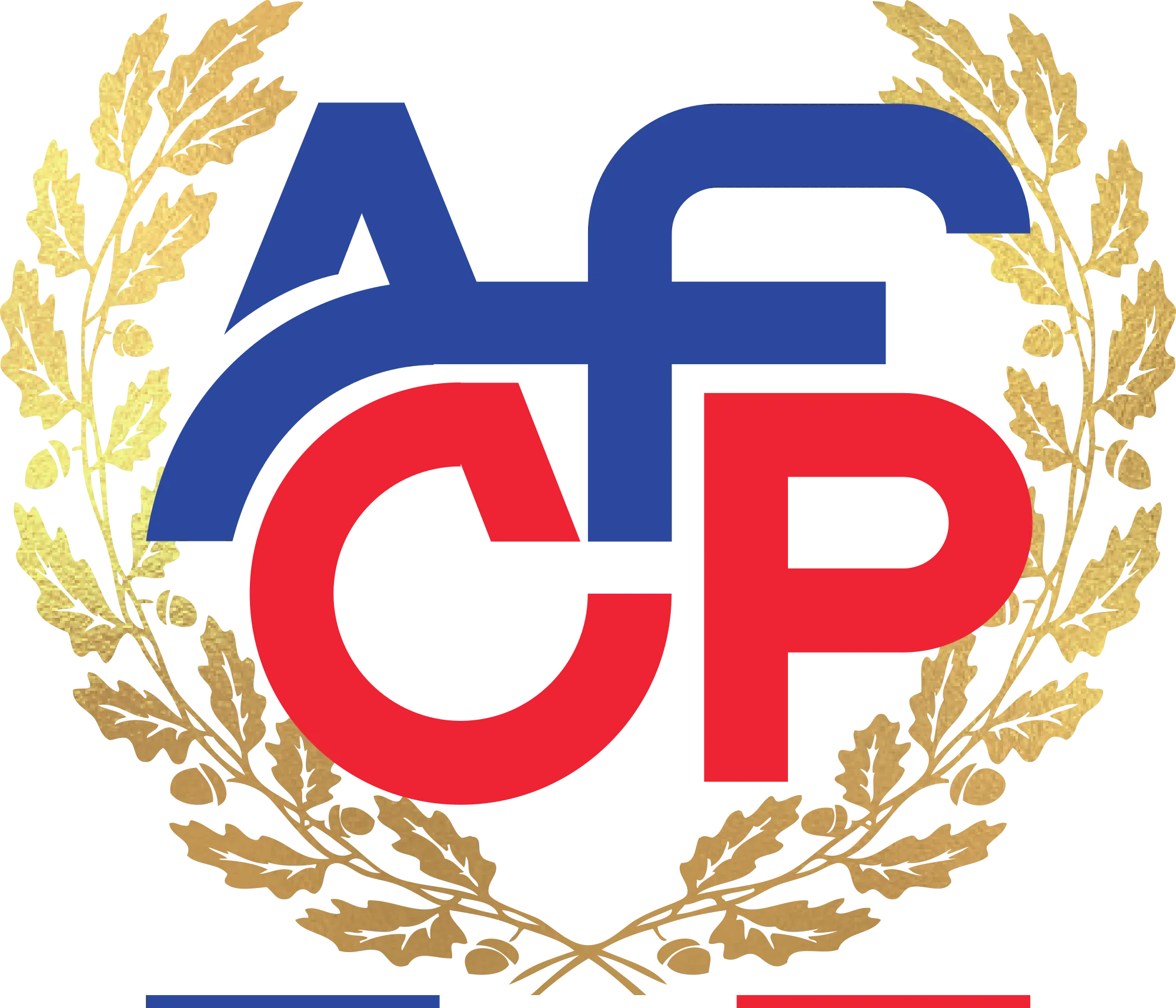 ACADEMIE FORMATIONS CIVILES ET PROFESSIONNELLES, (EN ABREGE A.F.C.P.) logo