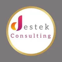 DESTEK CONSULTING logo