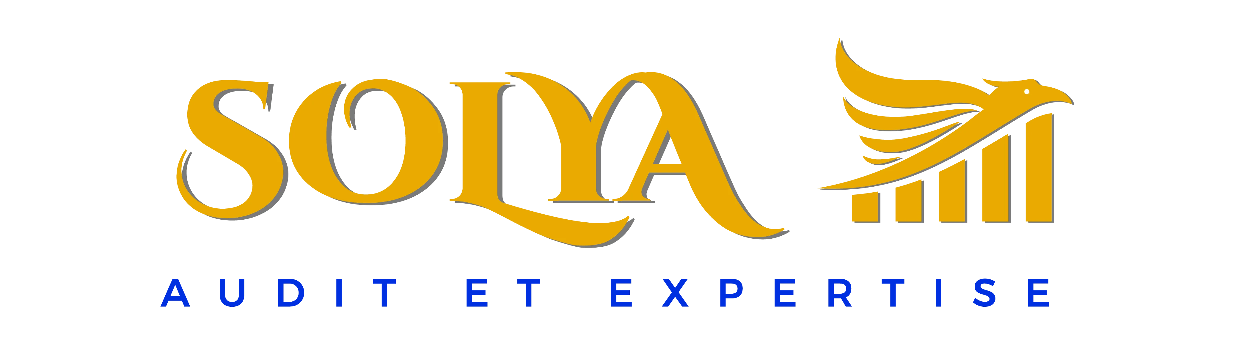SOLYA AUDIT ET EXPERTISE (SAE) logo