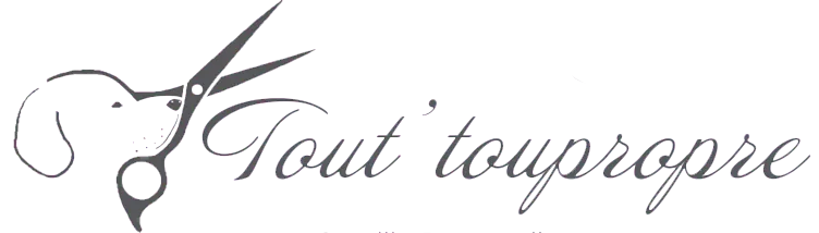TOUT'TOUPROPRE logo
