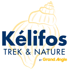 KELIFOS logo