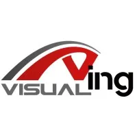 VISUALING logo