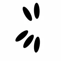 KWALA (KWA) logo