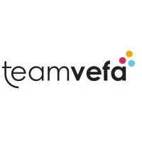 TEAM VEFA logo