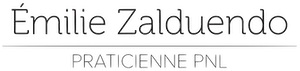 ZALDUENDO EMILIE logo