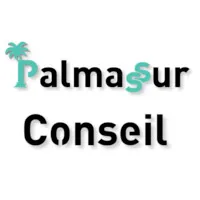 PALMASSUR CONSEIL logo