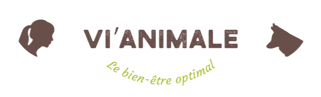 VI'ANIMALE (V.A.) logo