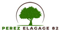 PEREZ WILLICE logo